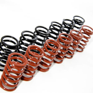 CLUTCH SPRINGS - MOLLE FRIZIONE DUCATI