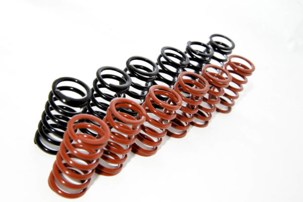 CLUTCH SPRINGS - MOLLE FRIZIONE DUCATI