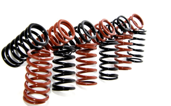 CLUTCH SPRINGS - MOLLE FRIZIONE DUCATI - immagine 2